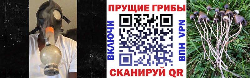 Псилоцибиновые грибы GOLDEN TEACHER  Нерюнгри 